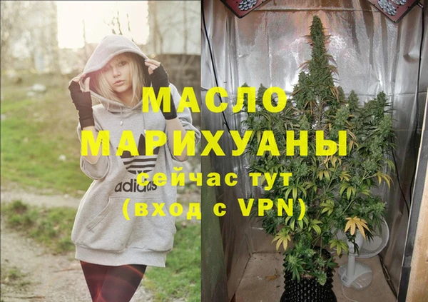 гидра Надым