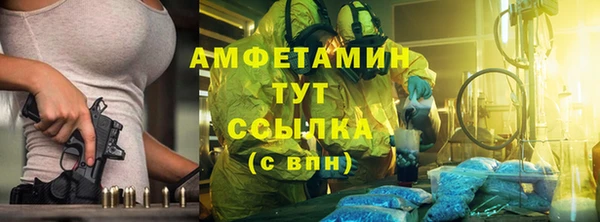 гидра Надым