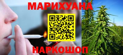 шишки Гусиноозёрск