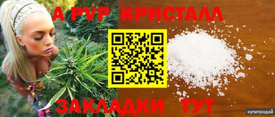 марки nbome Гусев