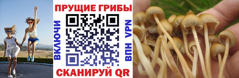 Галлюциногенные грибы ЛСД  Камышин 