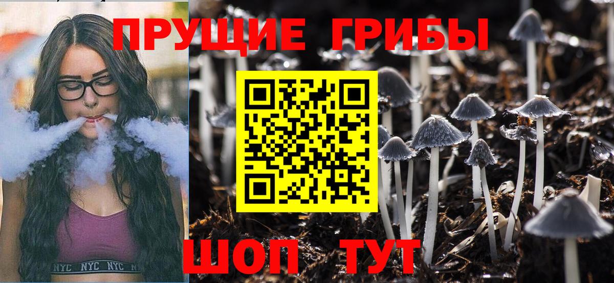 Псилоцибиновые грибы GOLDEN TEACHER  Вход с VPN  Галлюциногенные грибы Psilocybine cubensis  Камышин 
