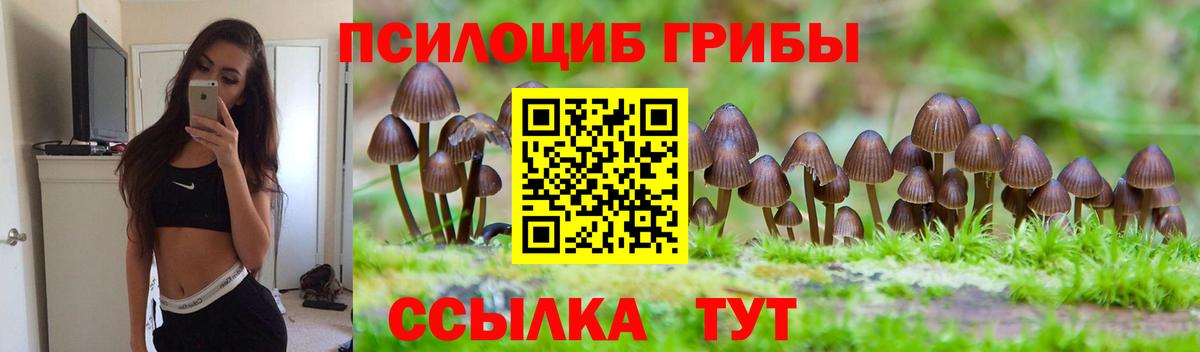 Галлюциногенные грибы Magic Shrooms Камышин